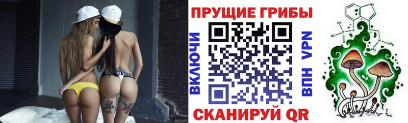hydra маркетплейс  Отрадный  Галлюциногенные грибы Psilocybine cubensis 